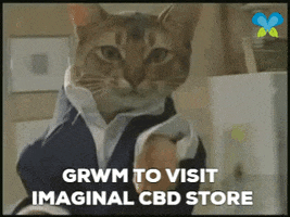 Cat Spinning GIF by Imaginal Biotech