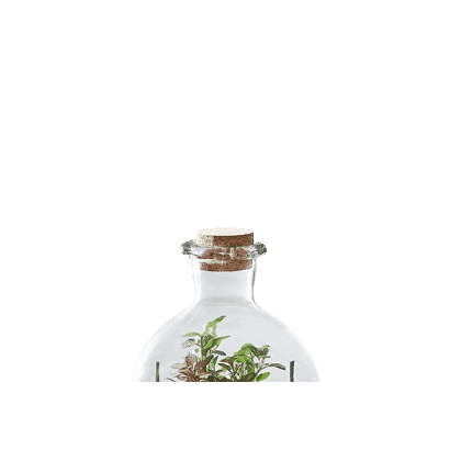 Green Bubble Sticker