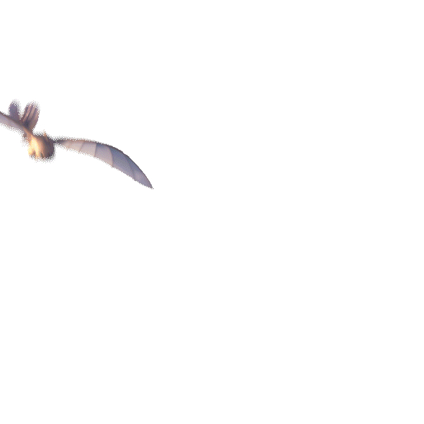 Boom Light Fury Sticker by How To Train Your Dragon for iOS & Android