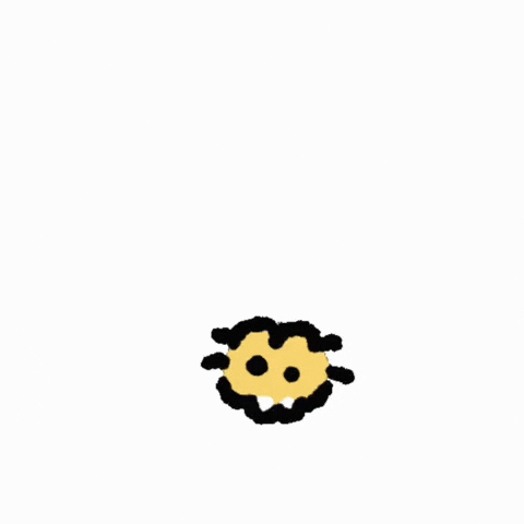 Meow GIF