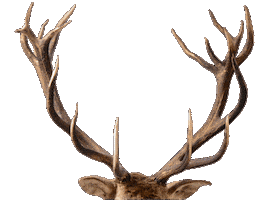 Vonherzen Sticker by Arbeiterwohlfahrt Bezirksverband Potsdam e. V.