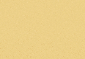 Bitcoin Crypto GIF by RGT Cycling