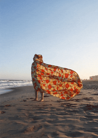 giphy.gif?cid=3640f6095bb7861f3561676a67