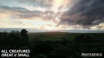 Wake Up Morning GIF by MASTERPIECE | PBS