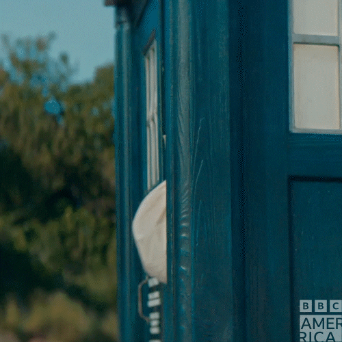 Doctor Who Pirate GIF by BBC America