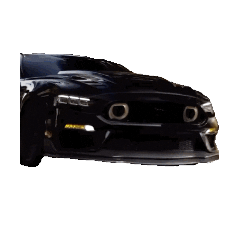 Animated Sticker