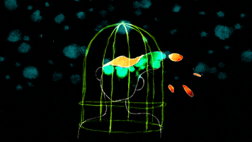 submission savannah student GIF by The Savannah .GIF Festival