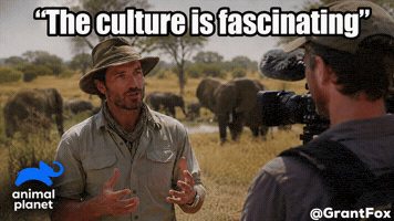 Animal Planet Culture GIF