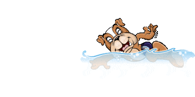 Summer Swim Sticker by Inglés Americano EAS