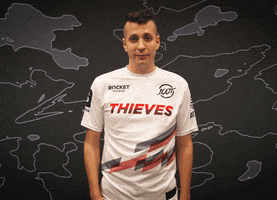 Represent Pro Player GIF by 100 Thieves