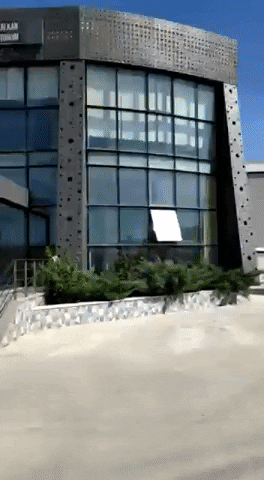 ALKAN TOHUM GIF