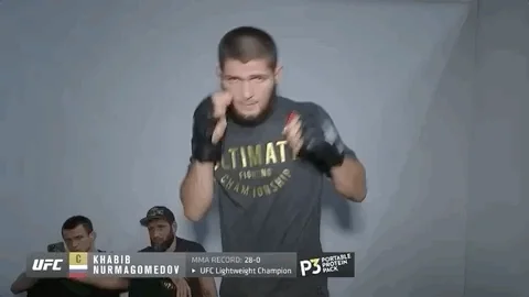 Khabib Nurmagomedov Sport GIF by UFC