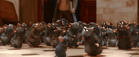 Rats Fleeing Gifs Get The Best Gif On Giphy