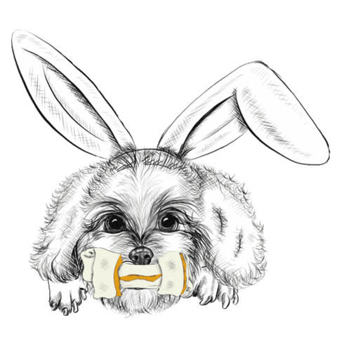 Snacks Treats Sticker by 8in1