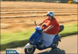 giphy.gif