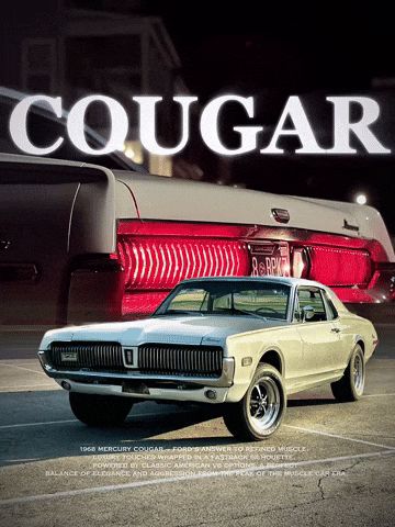 Ford Car GIF