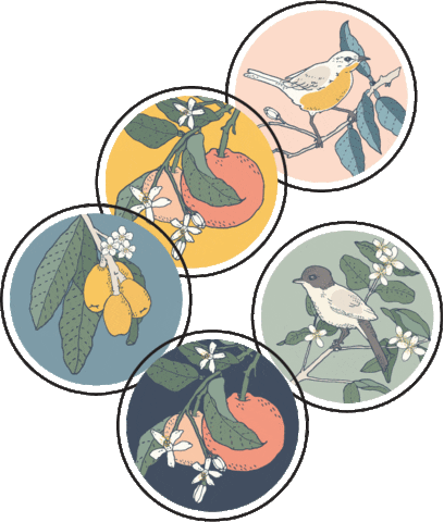 Stickers Birds Sticker by YOOLETTA