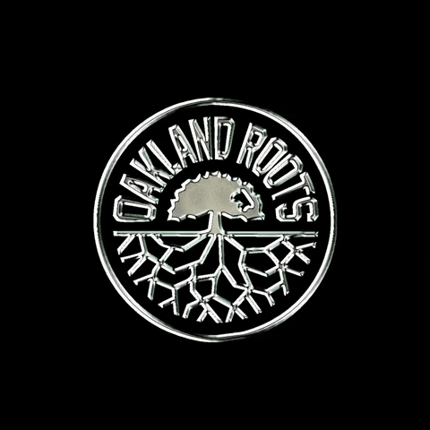 Logo Chrome GIF by Oakland Roots SC