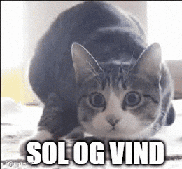Akraftfakta GIF by CommonC
