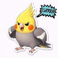 Angry GIF