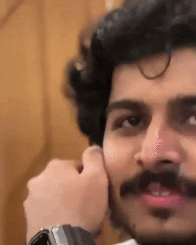 Pariey GIF