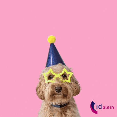 Hr Werk GIF by id Plein