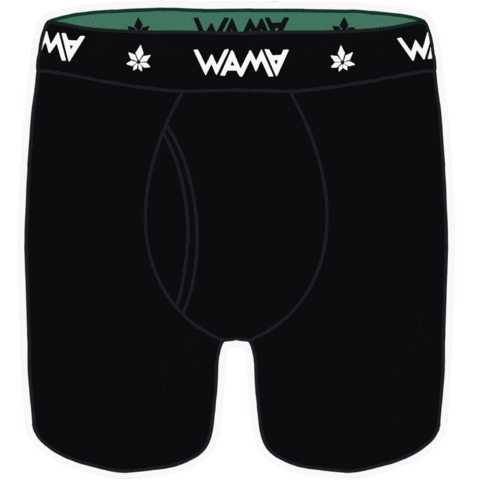 WAMAUnderwear undies boxer briefs mens underwear wama GIF
