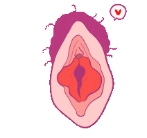 Rachel Lev Sticker