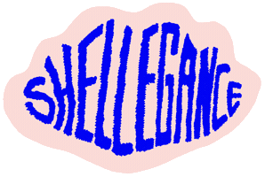 Shell Sticker by Studio Lucie de Moyencourt