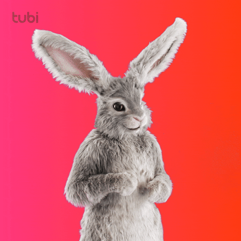 Bunny Youre Cute GIF by Tubi
