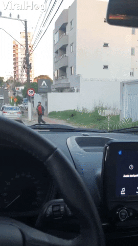 Cow Runs Into Street And Knocks Over Motorcyclist GIF by ViralHog