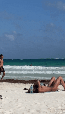 Animated GIF