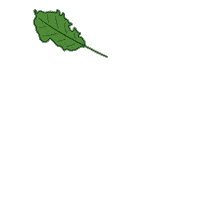 Fall Tree Sticker by Fakulta lesnická a dřevařská ČZU