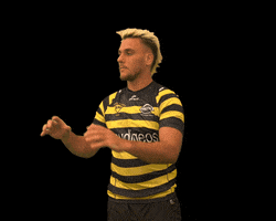 SMR_pro GIF
