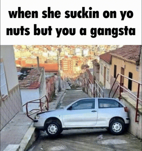 Car Niche GIF
