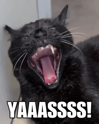 Black Cat GIF