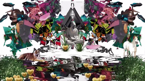 randomgif