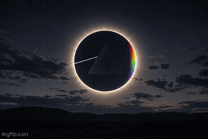 Kingkaps7 GIF