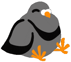 Pigeon Tierschutz Sticker by Lilies Berlin
