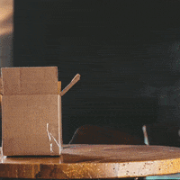 200.gif?cid=fc005b08e69e11488bcc7b32f7712012de2573036b0ad952&rid=200.gif&ct=g