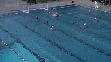 Water Polo Game GIF by Wasserballklub Thun