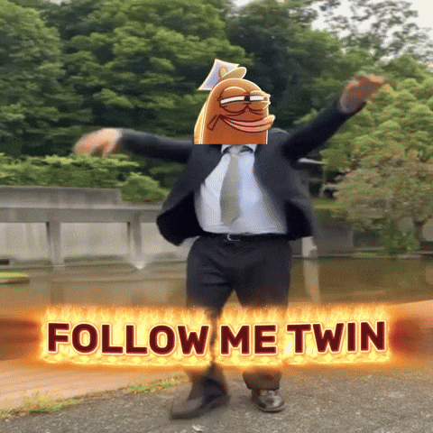 Follow Me Twin GIF