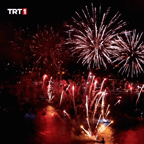 Video gif. With a city skyline in the background, a bunch of red, yellow and blue fireworks explode over a body of water. 