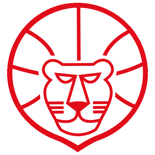 Basketball Lion Sticker by Use Basket