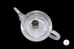 diegovidal-cruzprieto  GIF