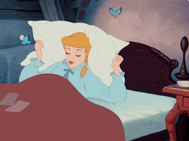 Chirping Sleeping Beauty GIF by Disney
