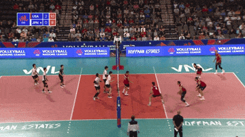 American Sport GIF by Volleyball World