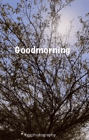 Goodmorning GIF
