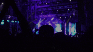 hatinasmuzick GIF