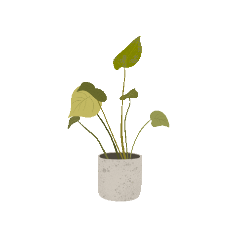 Plant Sticker by Ash + Oak Salon